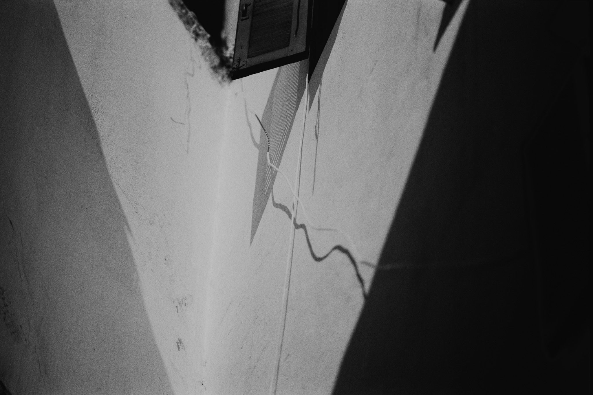 Photography by Noémi Szabó